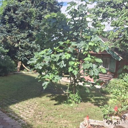 Ganzes Haus Mit Almcharakter Villa Lieserbrücke Kültér fotó