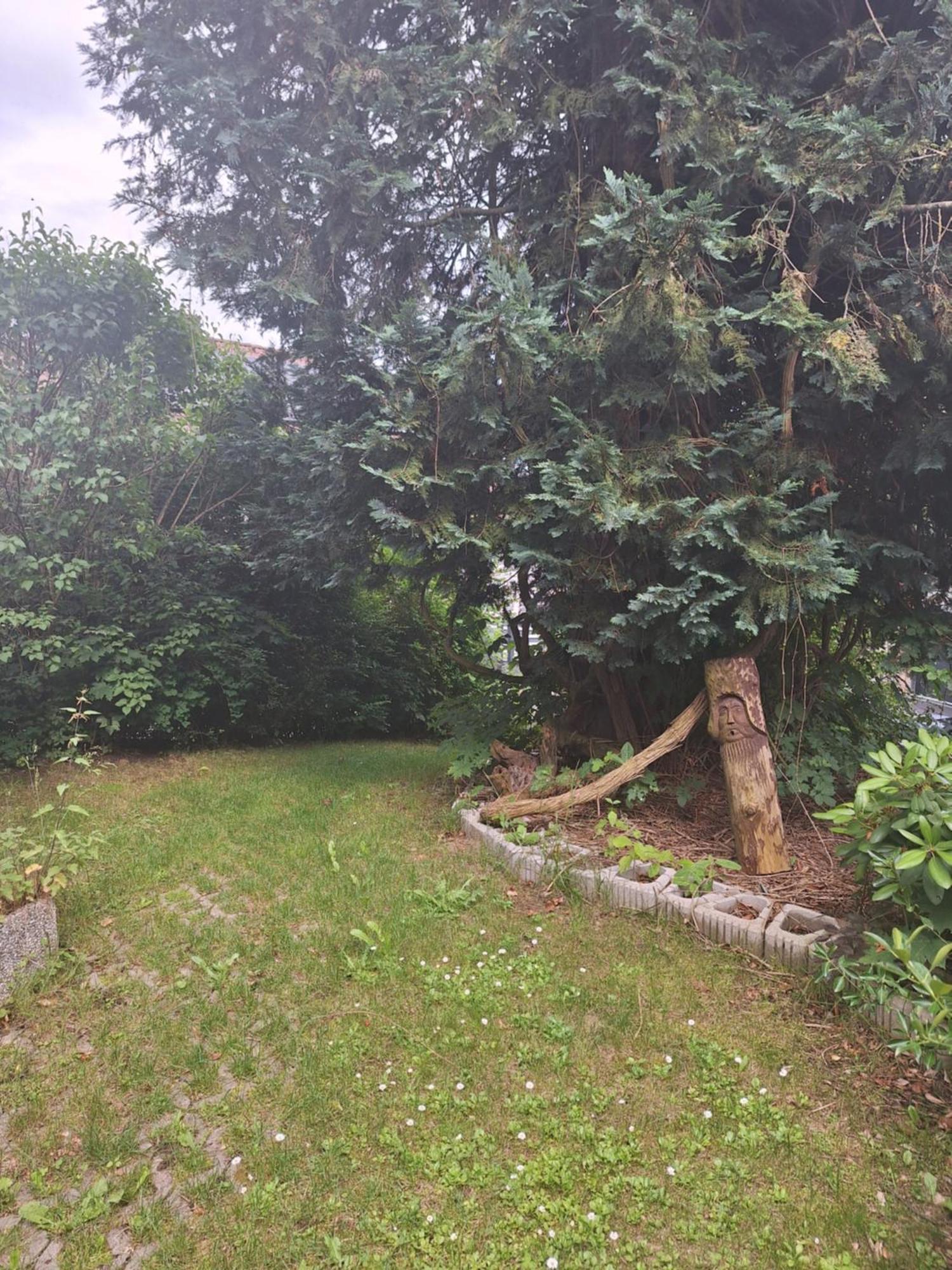 Ganzes Haus Mit Almcharakter Villa Lieserbrücke Kültér fotó