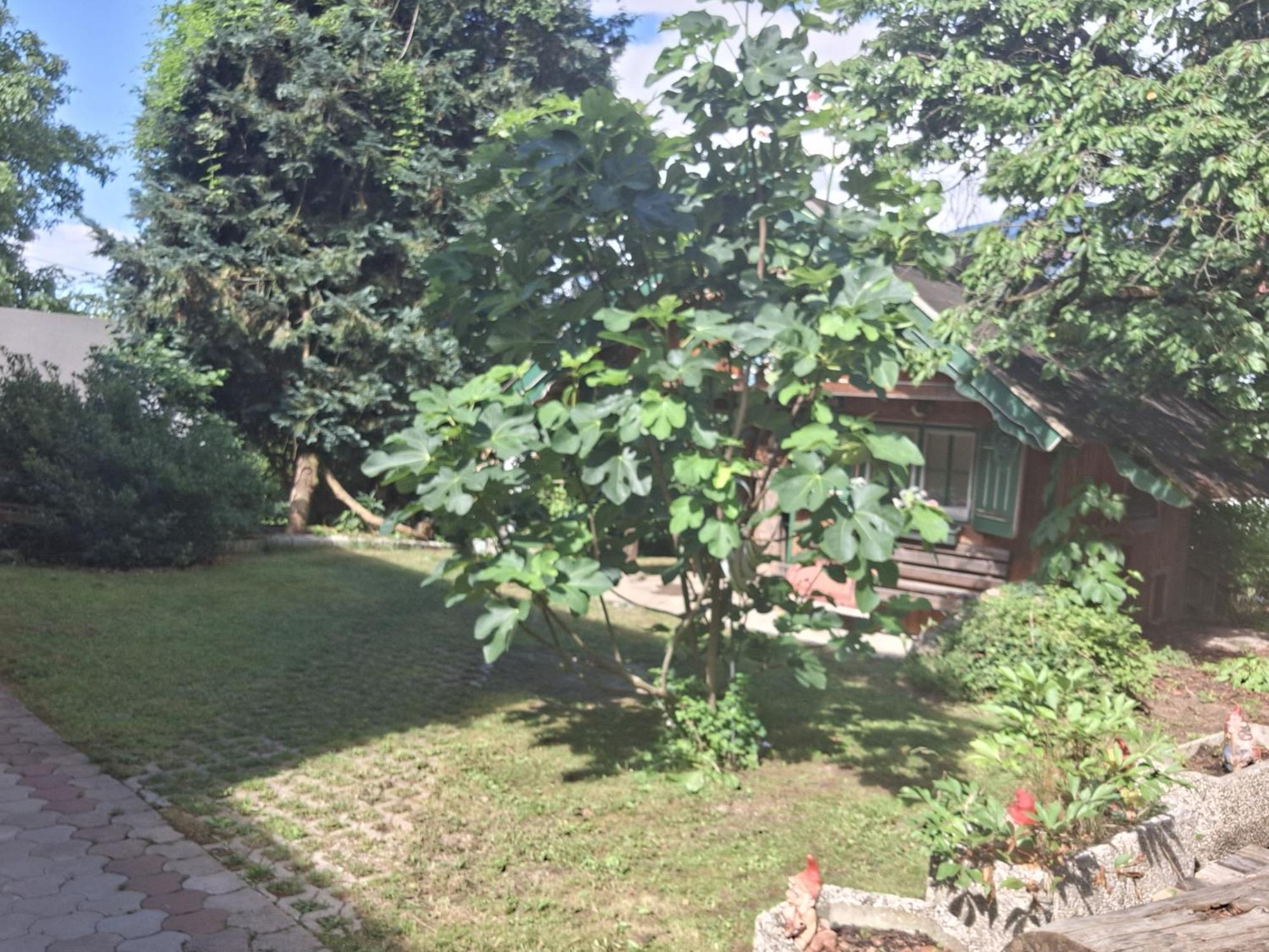 Ganzes Haus Mit Almcharakter Villa Lieserbrücke Kültér fotó